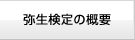 弥生検定の概要