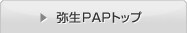 �퐶PAP�g�b�v