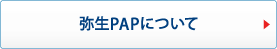 弥生PAPについて