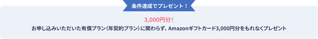 条件達成でプレゼント！ 3,000円分！お申し込みいただいた有償プラン（年契約プラン）に関わらず、 Amazonギフトカード3,000円分をもれなくプレゼント