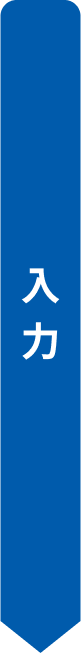 入力