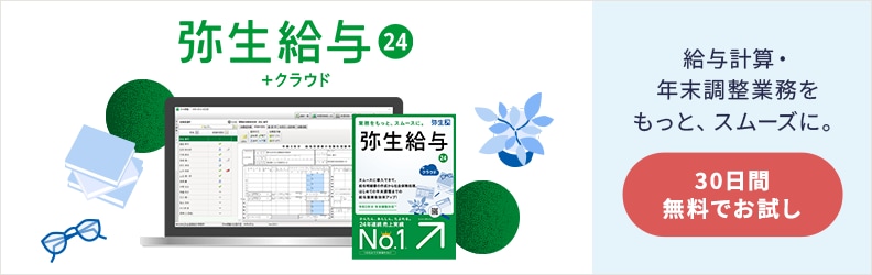 弥生給与 24 ＋クラウド 給与計算・年末調整業務をもっと、スムースに。30日間無料でお試し