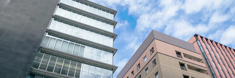 有限会社とは？廃止の理由や取締役・役員の人数などを簡単に解説
