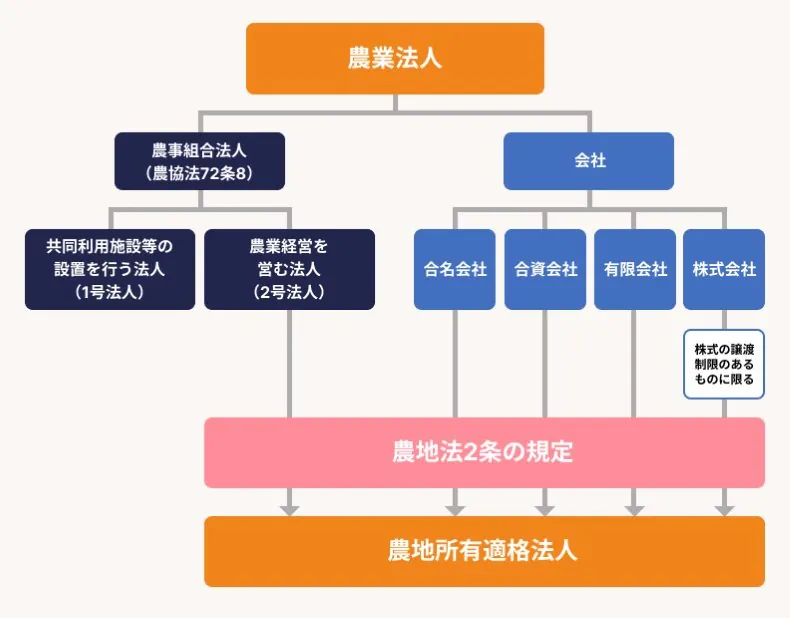 農事組合法人は農業で協業を図る法人形態