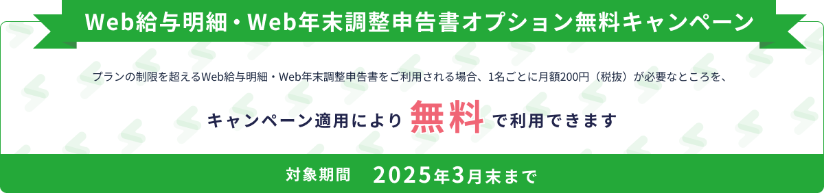 Web給与明細・Web年末調整申告書オプション無料キャンペーン プランの制限を超えるWeb給与明細・Web年末調整申告書をご利用される場合、1名ごとに月額200円（税抜）が必要なところを、キャンペーン適用により無料で利用できます 申込対象期間2024年10月末まで