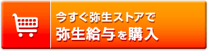 今すぐ弥生ストアで弥生給与を購入