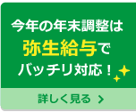 今年の年末調整は弥生給与でバッチリ対応！　詳しく見る