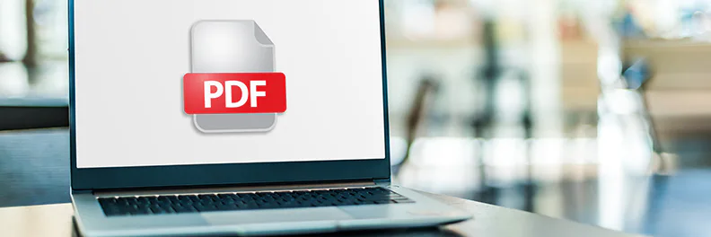 電子帳簿保存法でのPDFの取り扱い方法とは？保存のポイントも解説