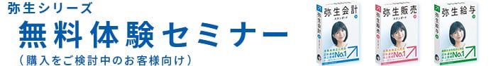 弥生シリーズ 無料体験セミナー(購入ご検討中のお客様向け)