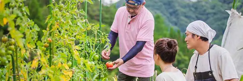農業所得は青色申告しよう！農業用決算書の書き方や、おすすめの会計ソフトを紹介