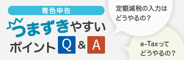 青色申告 つまずきやすいポイントQ&A 定額減税の入力はどうやるの？ e-Taxって どうやるの？